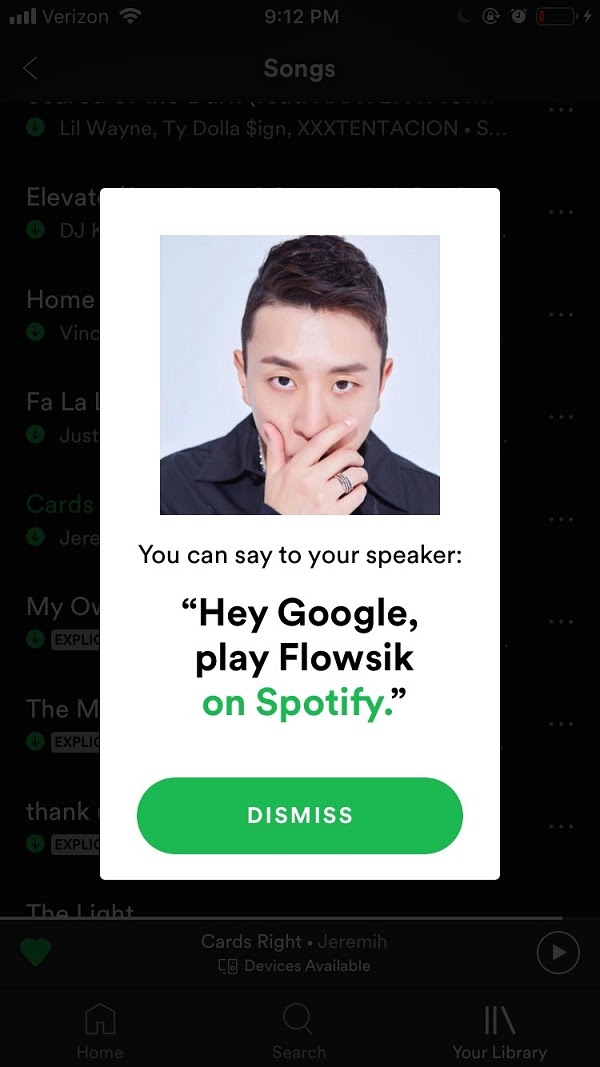 Вы можете сказать умной колонке: «Эй Гугл, проиграй Flowsik на Spotify»
